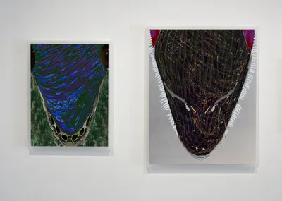 20130306 Alex Fischer Translation O'Born Contemporary 05 Earlier +Up documentation.jpg